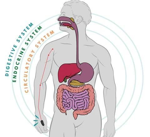 Sugar Control LI4 Acupressure Point Clip